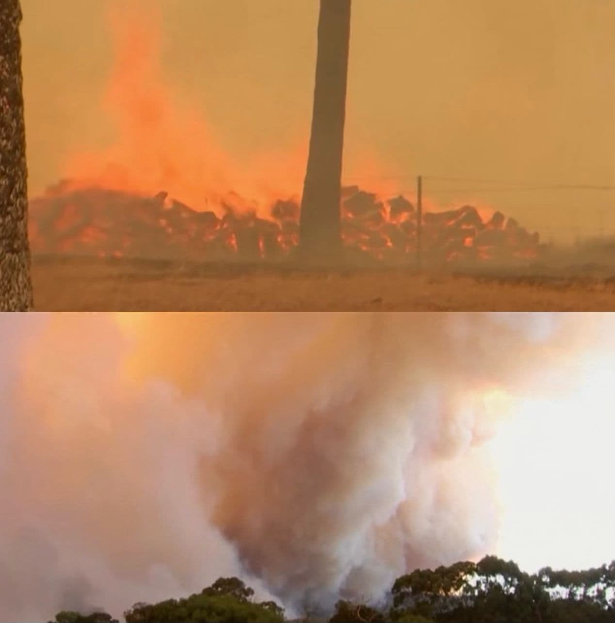 VÍDEO: Na Austrália, autoridades pedem fuga em massa devido a incêndio florestal