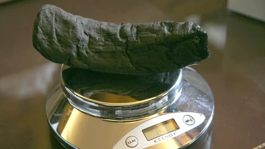 IA revela conteúdo de pergaminho de 2.000 anos a.C.