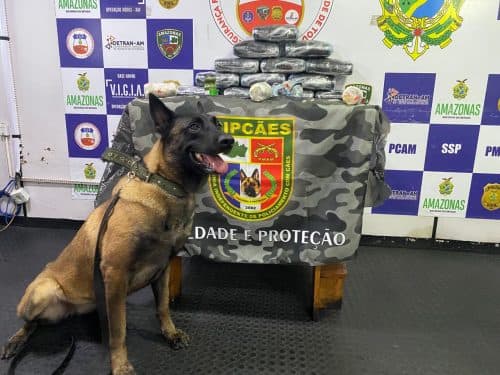 Com apoio de cadela, polícia prende mulher no AM com pasta base de cocaína avaliada em R$ 750 mil