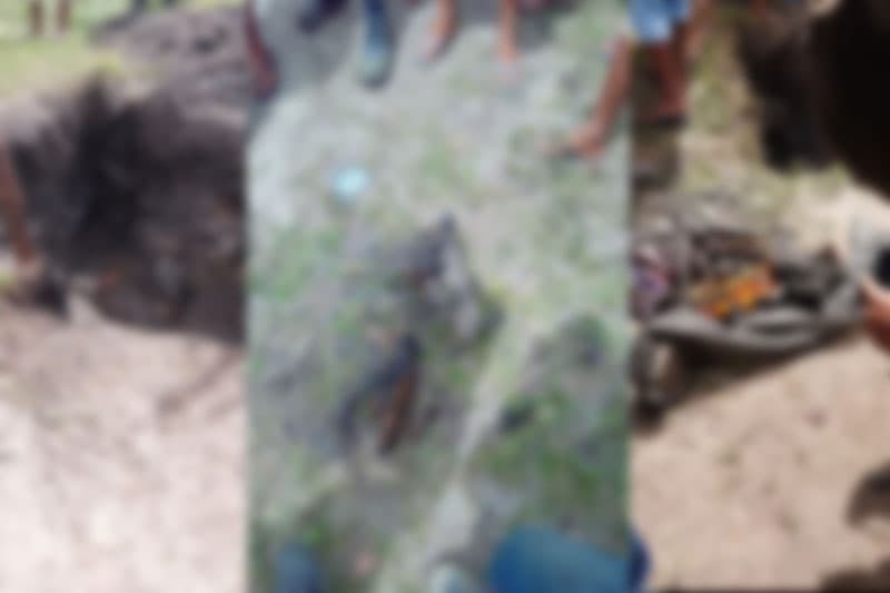 População acha corpos carbonizados em Tonantins, no AM