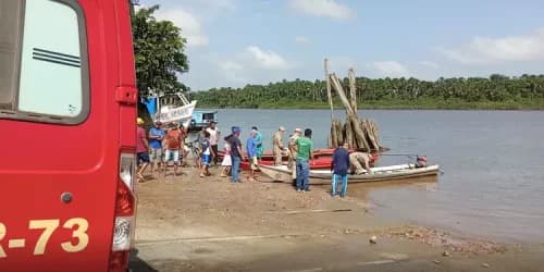 Homem morre eletrocutado enquanto colhia açaí, no Pará