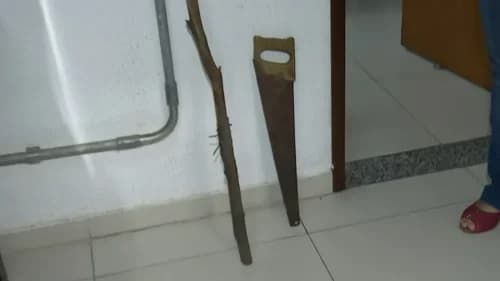 Homem agride esposa com serrote após ser pego com outra mulher, no interior do AM