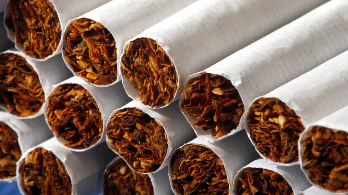 Autoridades belgas apreendem 12 milhões de cigarros em fábrica ilegal