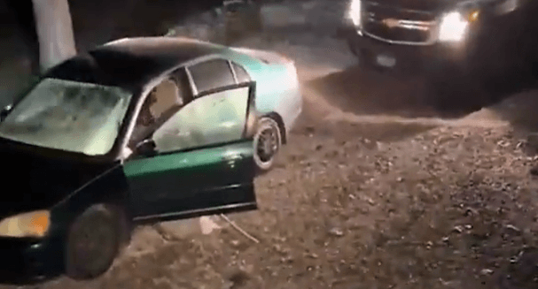 VÍDEO: Urso encontrado preso dentro de carro, nos Estados Unidos