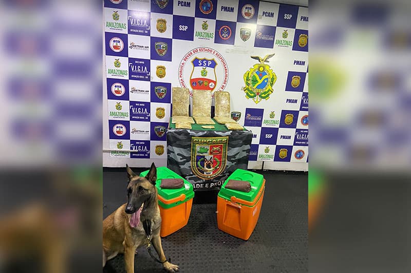 Operação Fronteira Mais Segura gera mais de R$ 320 mil em prejuízo ao crime no AM