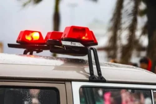 Menina sai para passear com cão, desaparece e é estuprada em Joinville