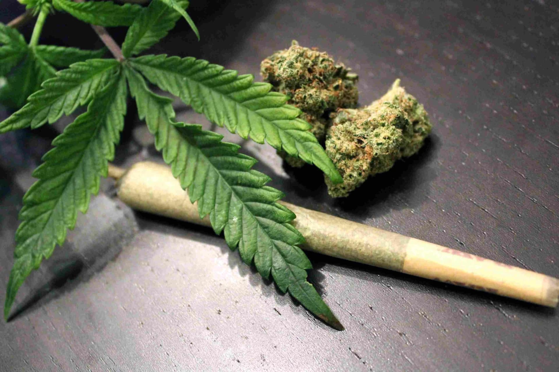 Ninguém deveria ser preso por fumar maconha, diz vice-presidente dos EUA