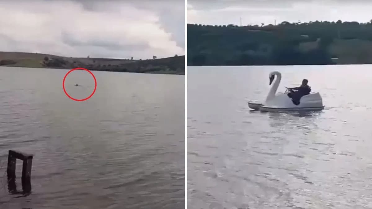 VÍDEO: PM utiliza pedalinho para prender suspeito em lagoa no Espiríto Santo