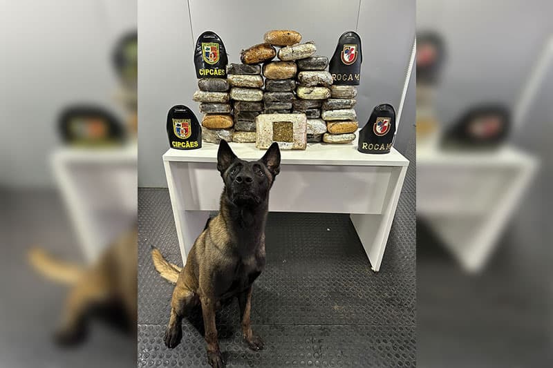 Fiscalização apreende mais de 30 kg de drogas em embarcação no Amazonas