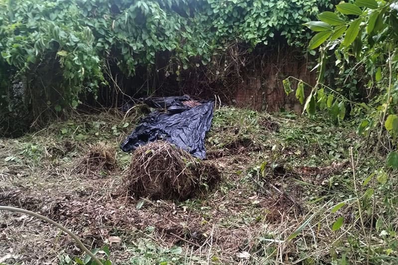 Ossada humana é encontrada durante limpeza em terreno na zona Sul de Manaus