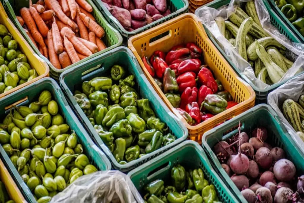 Novo projeto contra desperdício de alimentos é apresentado em Manaus