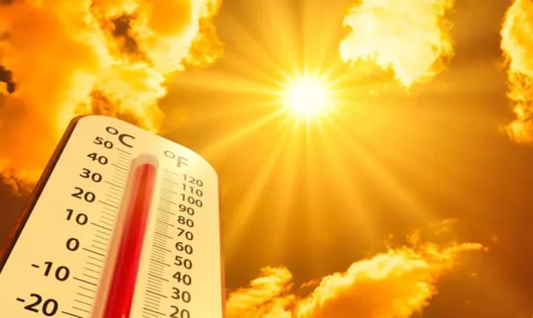 Calor extremo afeta o sono, memória, humor e até o coração, alerta estudo