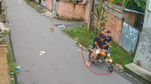 VÍDEO: Estudante é agredido por trio de assaltantes em moto por não ter celular, em Manaus