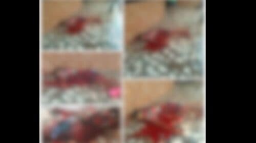 VÍDEO: Pescador é morto e fica com faca cravada nas costas, em Macapá