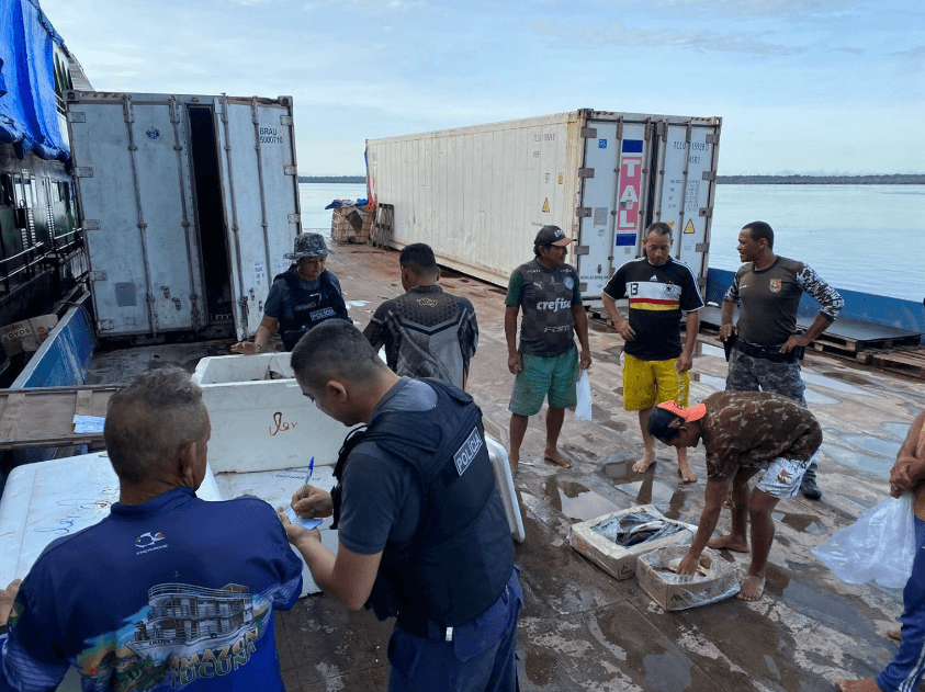 Polícia apreende 1,5 tonelada de pescado ilegal dentro de barco, em Barcelos, no AM