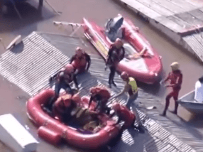 VÍDEO: Cavalo “Caramelo” é resgatado com sucesso de telhado em Canoas