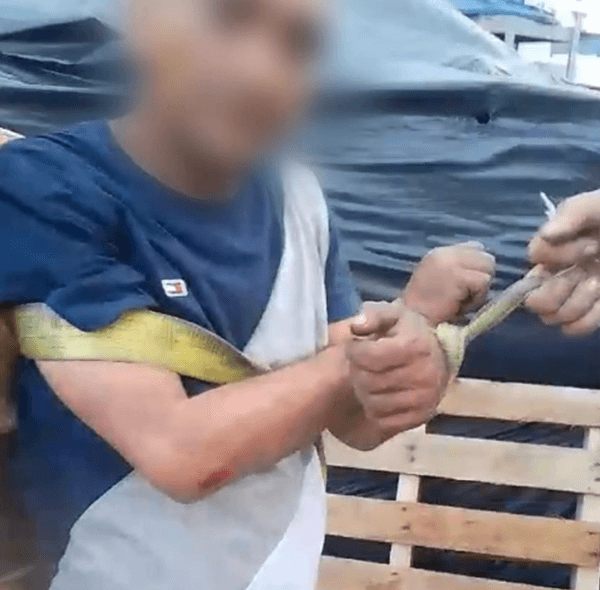 VÍDEO: Suspeito de roubar fios de empresa é amarrado e espancado em Manaus