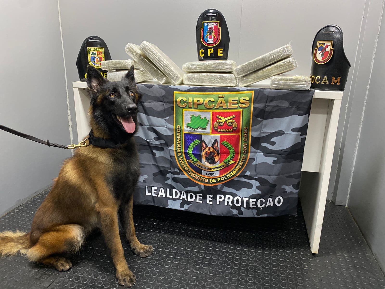Polícia apreende 15 kg de maconha escondida dentro de lancha