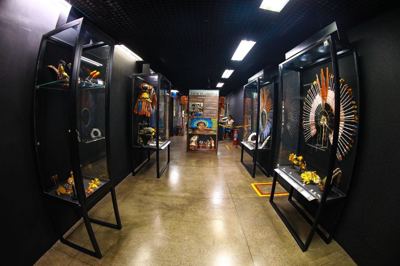 Semana Nacional do Museu destaca a interseção entre museus, educação e pesquisas