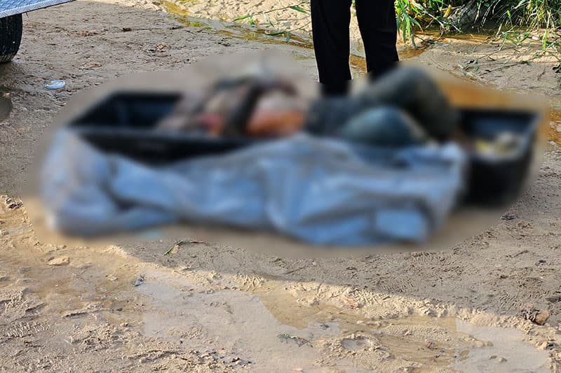 IMAGEM FORTE: Corpo de homem é encontrado em área de mata na zona Norte de Manaus