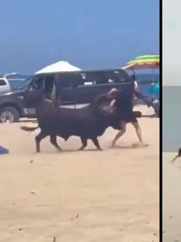 VÍDEO: Em praia no México, touro ataca banhistas