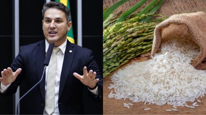 Oposição propõe ‘CPI do Arroz’ para investigar suposta fraude em leilão
