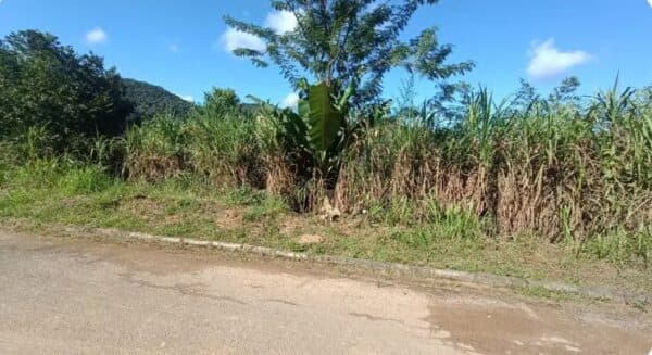 Pai é preso após jogar filha recém-nascida em barranco, na Região Serrana do ES