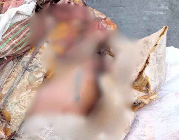 IMPACTANTE: Corpo é encontrado esquartejado dentro de sacos, em Manaus