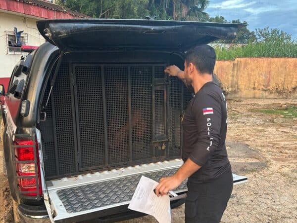 Foragido por roubo e tráfico de drogas é preso em Benjamin Constant, no AM