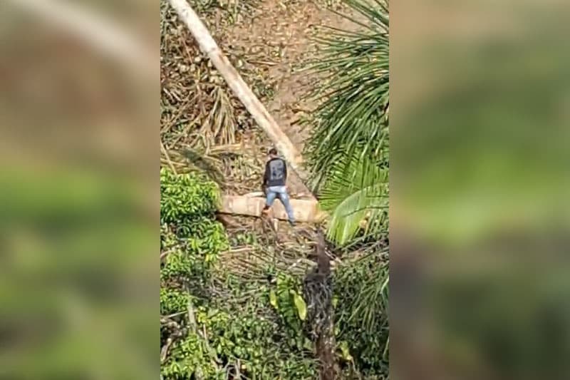 AM: homem é preso por desmatar área para construção de barracos