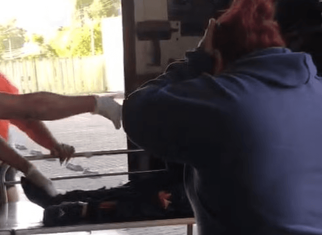 Vídeos: operação da polícia deixa seis mortos na Cidade de Deus, no Rio de Janeiro