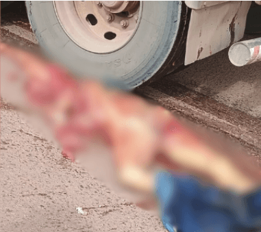IMAGEM FORTE: Idoso tem corpo dilacerado ao ser atropelado por carreta na BR-174