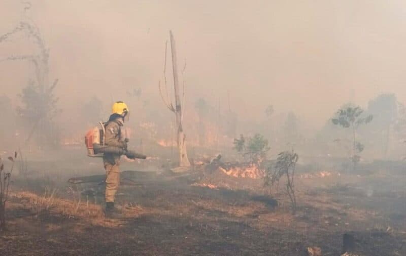 Bombeiros combatem 80 focos de incêndio em área de pasto, em Apuí