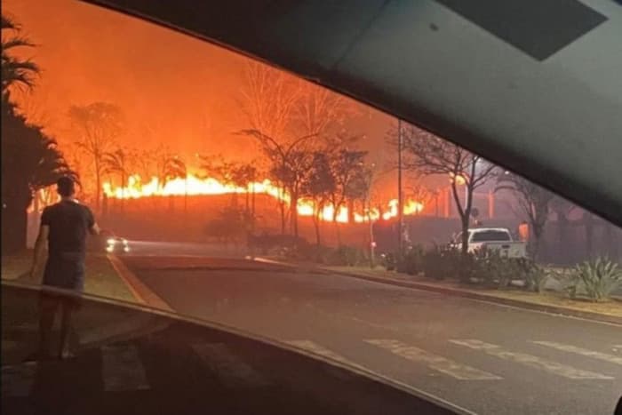 Sétimo suspeito de provocar incêndios no interior de SP é preso