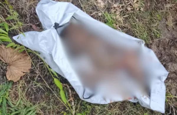 IMAGEM FORTE: corpo esquartejado é encontrado em cova rasa em Itacoatiara