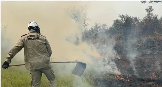 Amazonas registra quase 21 mil focos de incêndio em menos de 5 meses