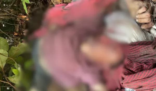 IMAGENS FORTES: corpo com marcas de tortura enrolado em rede é encontrado na AM-010