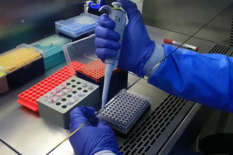 Casos de Mpox sobem para 33 no Amazonas