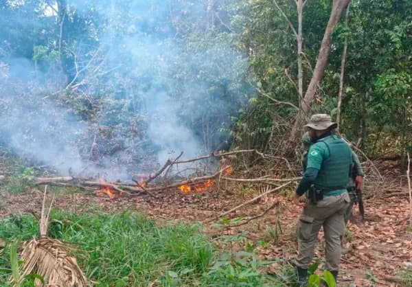 Suspeito de provocar incêndio em área de mata é preso em Humaitá