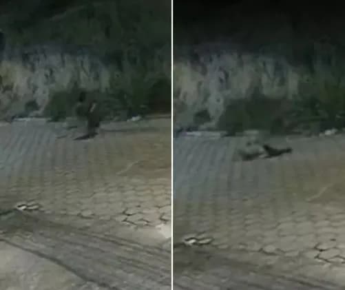 VÍDEO: No ES, idosa é ‘engolida’ por buraco que se abriu no meio da rua