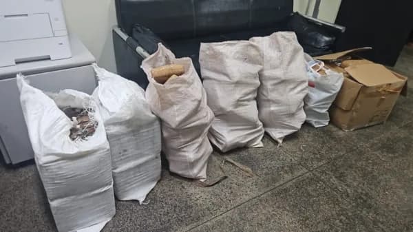 Maconha avaliada em R$ 3 milhões que iria para São Paulo é apreendida em Manaus