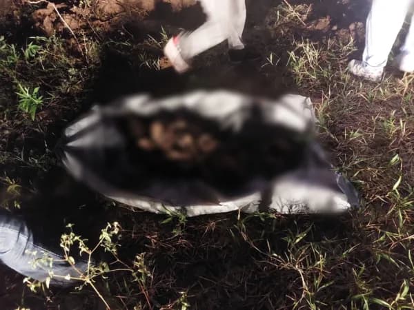 Vídeo mostra momento que corpo escondido por 1 ano é desenterrado em Manaus