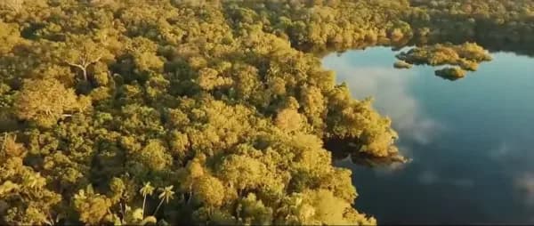 Cidade colonial portuguesa é encontrada na Floresta Amazônica