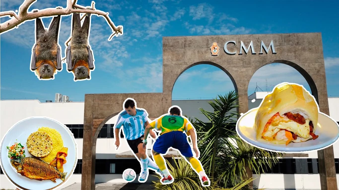 De datas comemorativas a homenagens; veja os projetos de lei mais inusitados de Manaus