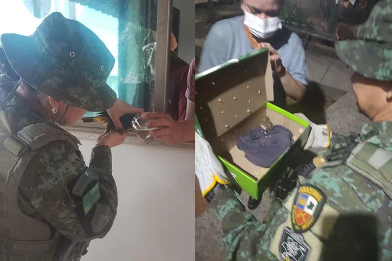 Aves silvestres feridas são resgatadas na zona Oeste de Manaus