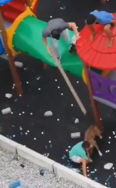 VÍDEO: Crianças são atacadas por pitbulls em parquinho na zona Norte de São Paulo; uma vítima está internada