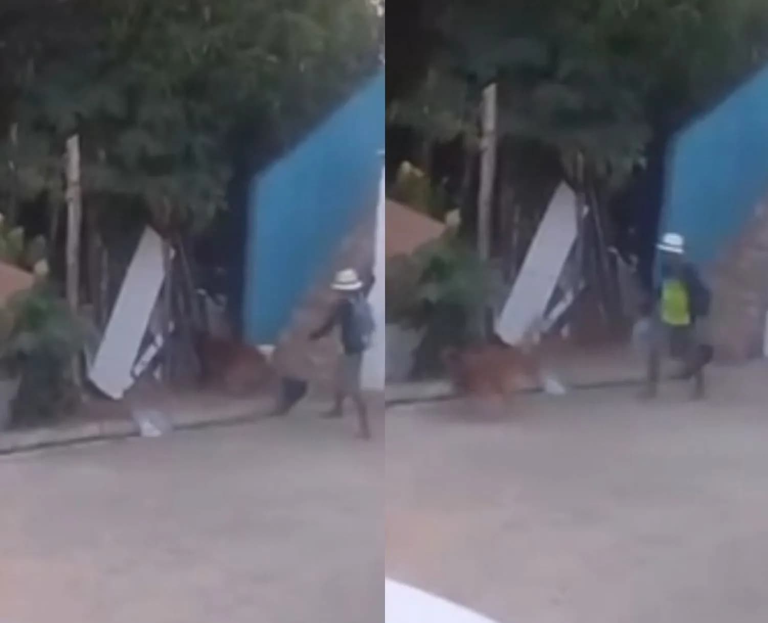 VÍDEO: Homem é preso por agredir cachorro com chicotadas em Maceió