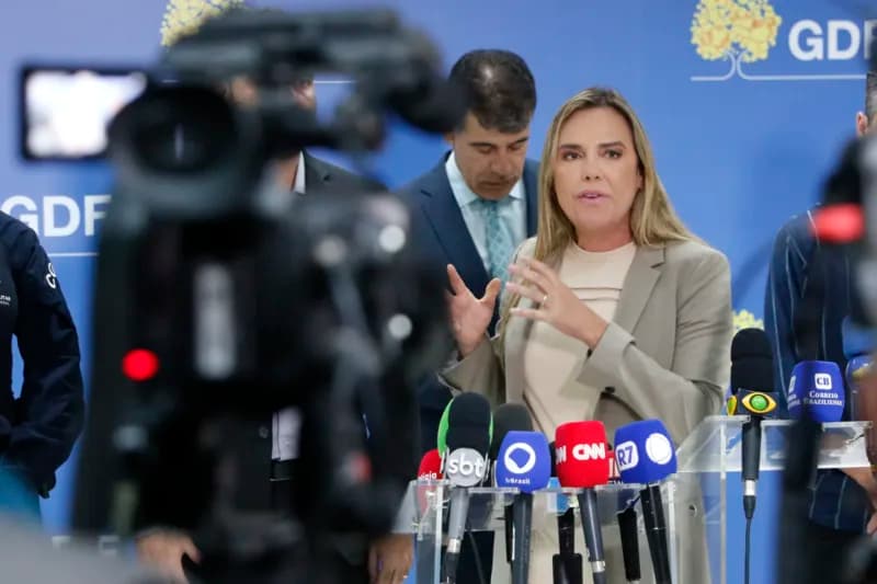 Homem tentou entrar com explosivos no STF, diz vice-governadora do Distrito Federal