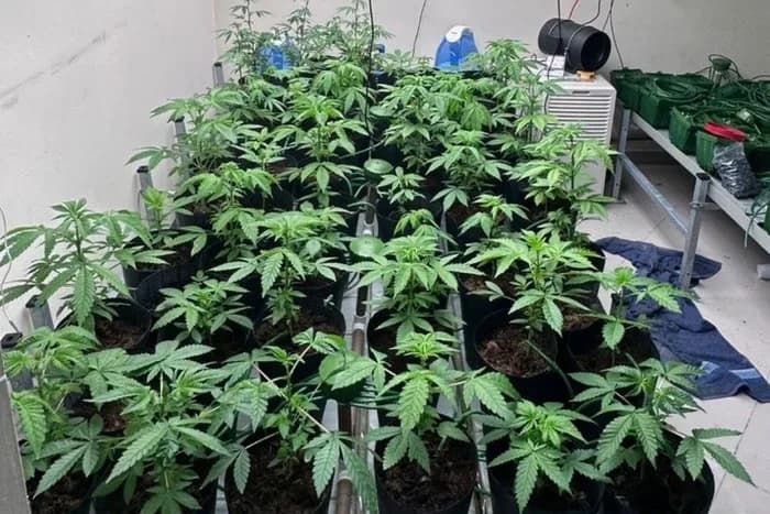 Polícia desmonta laboratório de ‘Dry’ e prende quadrilha em SP