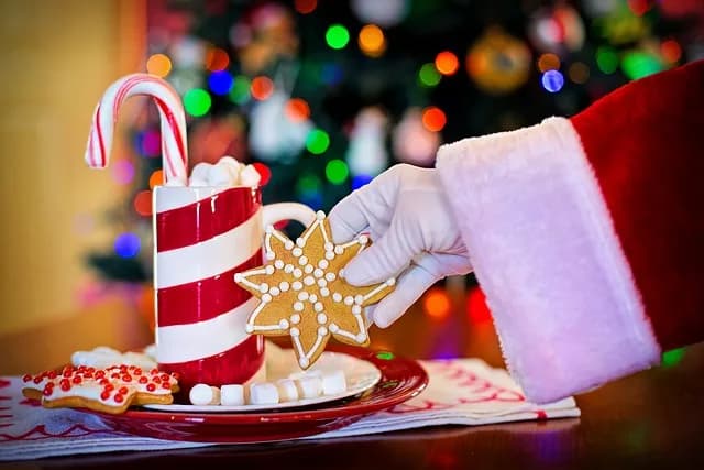 Cantata de Natal dá brilho ao centro histórico de Manaus; veja programação